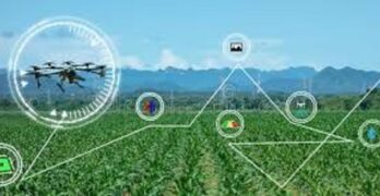 هوشمند سازي و مانيتورينگ نرم افزار جامع كشاورزي