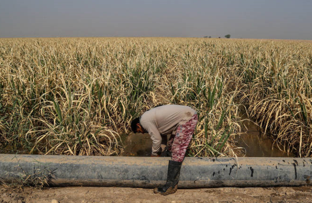 <span itemprop="name">دموی سامانه مکانمند و پایش کاربران کشاورزی کشت و صنعت امیر کبیر (ماژول آبیاری)</span>